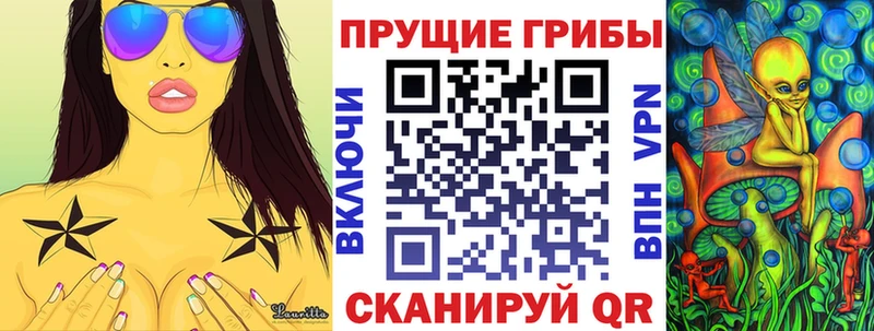 Купить  Лебедянь  Галлюциногенные грибы Cubensis 
